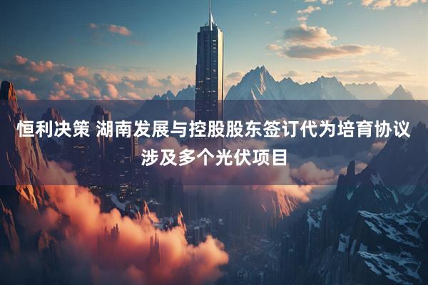 恒利决策 湖南发展与控股股东签订代为培育协议涉及多个光伏项目