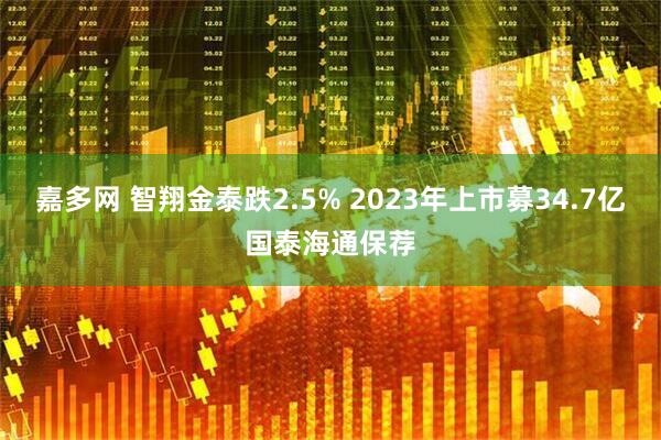 嘉多网 智翔金泰跌2.5% 2023年上市募34.7亿国泰海通保荐